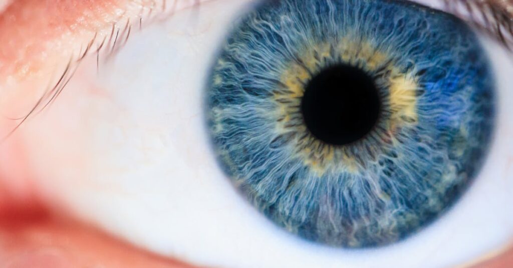 Detailed macro of a human eye showcasing the iris and pupil.