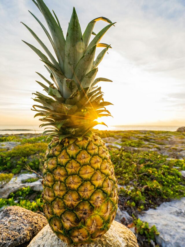 Close-up of a pineapple with sun flare and tropical landscape in the background.